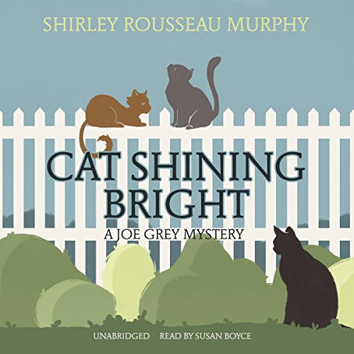 Bargain Audio Book - Cat Shining Bright