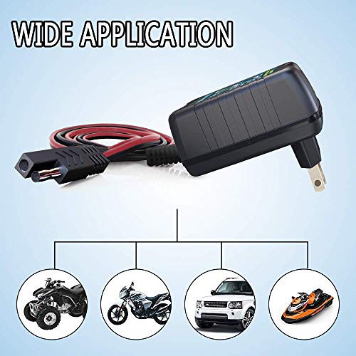 4 Automatic+Maintainer+Portable+Motorcycle+Batteries