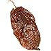 Three Squirrels, Dried Whole Ghost Chilies Peppers, Ghost Peppers, More than 1 million SHUs, Hottest Chili, Approx. 60 Pods, 2 oz.