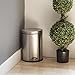 BINO Stainless Steel 3 Gallon / 12 Liter Oval Step Trash Can, Brushed Nickel