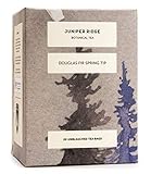Juniper Ridge Douglas Fir Spring Tip Tea - 20 Bags