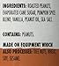 Wild Friends Foods Pumpkin Spice Peanut Butter, 16 oz Jar
