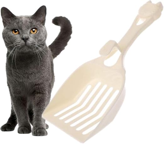 kitten pooping white