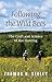 Following the Wild Bees: The Craft and Science of Bee Hunting
