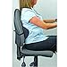 Fellowes Lumbar Back Support, Black (9190701)