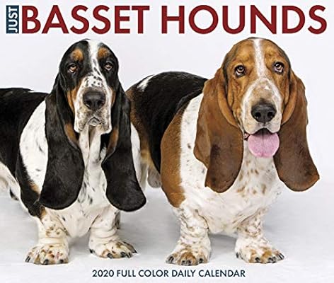basset dog breeds
