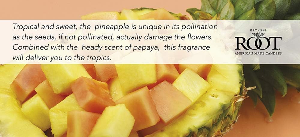 Root Candles Honeycomb Veriglass Scented Beeswax Blend Candle, Small, Pineapple Papaya: Home & Kitchen