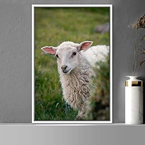 signwin Framed Canvas Wall Art Sheep Animals Expressive...