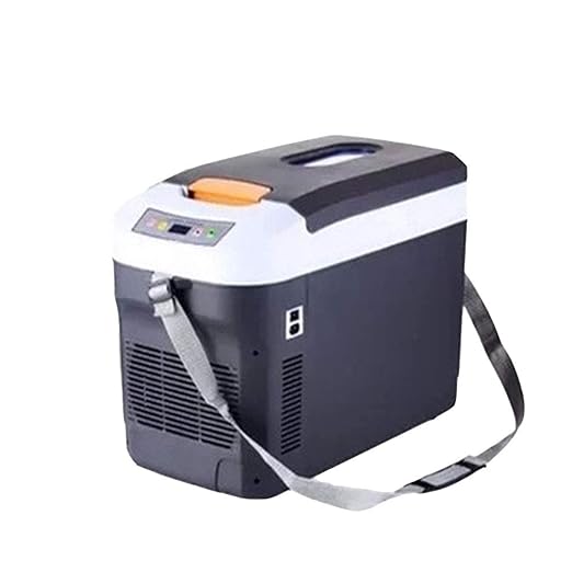 Refrigerador pequeño portátil Mini del Frigorífico Coche viaje ...