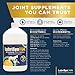 LubriSynHA Hyaluronic Acid Pet & Equine Joint Formula 128oz - All-Natural, High-Molecular Weight Liquid Hyaluronan - Joint Support for Horses, Dogs, Cats - Promotes Healthy Joint Function, Made in USA
