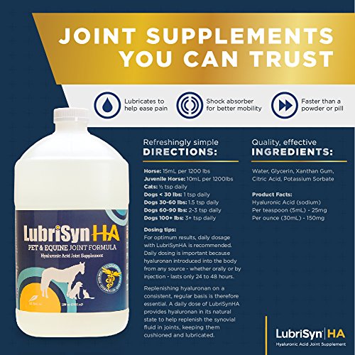 LubriSynHA Hyaluronic Acid Pet & Equine Joint Formula 128oz - All-Natural, High-Molecular Weight Liquid Hyaluronan - Joint Support for Horses, Dogs, Cats - Promotes Healthy Joint Function, Made in USA