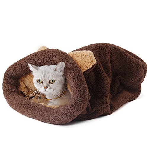 Looking for a sack pet bed? Have a look at this 2019 guide!