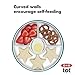 OXO Tot Stick & Stay Suction Divided Plate - Teal, 1 Count (Pack of 1)