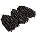 Silike 8'' Marlybob Kinky Curl (3 Bundles/pack) Water Wave Crochet Braiding Hair(#4)