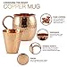 Mule Science Moscow Mule Copper Mugs - Set of 2-100% HANDCRAFTED - Pure Solid Copper Mugs 16 oz Gift Set with BONUS: Cocktail Copper Straws, Shot glass and 2 coasters!