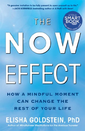 Cover of The Now Effect