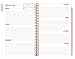 Bloom Daily Planners 2017 Daily Planner, 8.25 x 4-Inches, Rose Gold Stripes,