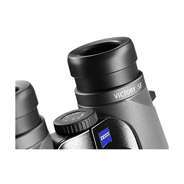Zeiss 10x42 Victory SF Fernglas mit LotuTec Schutzbeschichtung (schwarz) – Bild 5