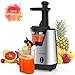Homgeek Juicer Slow Masticating Juicer Extractor, Cold Press Juicer Machine, Quiet Motor and Reverse Function, with Juice Jug and Brush to Clean Conveniently, High Nutrient Fruit and Vegetable Juice (Sliver)
