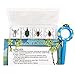 4 Real Bugs Insect Arachnid Resin Specimen STEM Set Magnifier Fun Fact Sheet Poster
