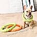 Elite Dog Toys Frisbee Dog Chew Toy Ring Aggressive Chewers Durable Pet Flying Discs Toy Mango Flavor TPR Material