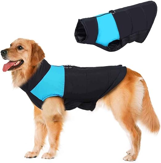 warm dog vest