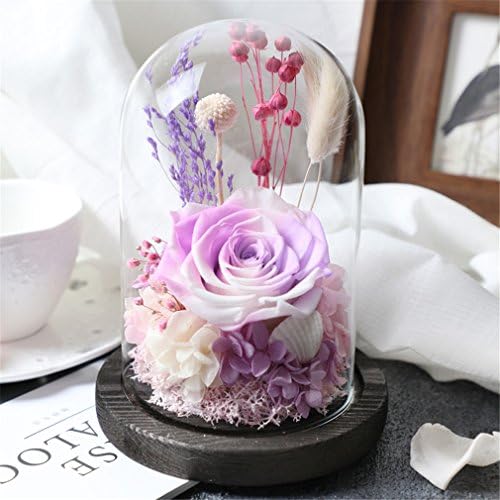 Beauty And The Beast Rose, Live Forever Rose in Glass, Live Enchanted Rose, Preserved Rose %100 Natural