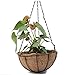 Kingbuy Black Growers Hanging Basket Planter with Chain Flower Plant Pot Home Garden Balcony Decoration-10inch (set of 2) …