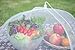 GIDABRAND (4 Pack) Luxury Mesh Food Covers for Outdoors | Large Pop-Up Food Cover Tents | Highly Durable Picnic Food Covers | Easy to Use Food Umbrella | Keep Flies Away with This Outdoor Food Covers