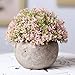 Velener Mini Plastic Artificial Pine Ball Topiary Plant with Pots for Home Decor (Pink Clover)
