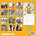 2020 Swimsuits Calendar 16 Month 12 x 12 Wall Calendar by Bright Day Calendars (Pinup Calendar Collection) (Swimsuits 2019)