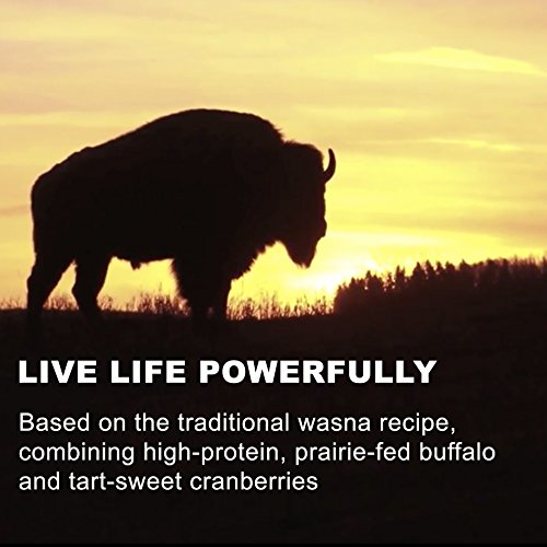 Tanka Bison Pemmican Meat Stick with Buffalo & Cranberries By Gluten Free, Beef Jerky Alternative, Apple Orange Peel, 1 Oz, Pack Of 12