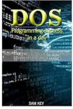 DOS Programming Success in a Day: Beginners guide to fast, easy and efficient learning of DOS progra