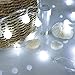 33Feet 100 LEDs Globe String Lights, 8 Modes USB Ball String Lights with Remote for Indoor/Outdoor Commercial Decor, Gardens, Patio, Wedding, Party, Bedrooms, Christmas Decorations, Warm White