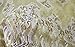 5 Yards African Lace Fabrics Nigerian French Beaded Tulle Fabric (Yellow)