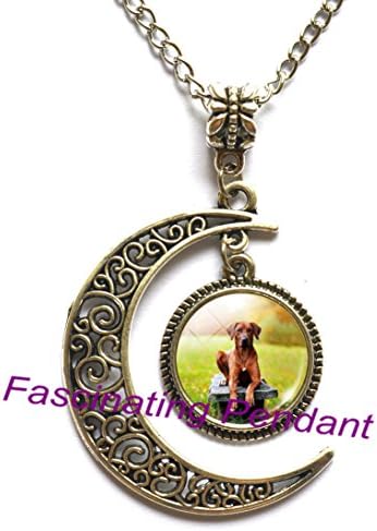 Crescent moon glass cabochon necklace,Dog Photo Necklace Glass Pendant Necklace Alter Art Pendants Long Necklaces Animal Lover Gifts Women Jewellery-HZ106