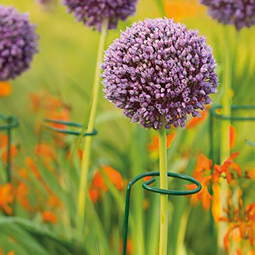 cozyou 3-Pack Garden Plant Stem Support Rings, 17.7" High