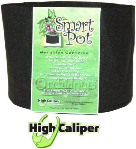 Smart Pot Fabric Plant Container - 1 Gallon, 10 Pack