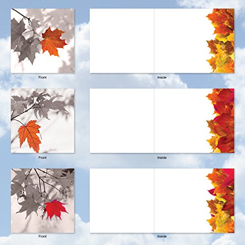 image for The Best Card Company MQ4629OCB-B1x10 Autumn Leaf: 10 Assorted Set of 
