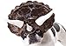 California Costumes Pet Butterfly Dog Costume