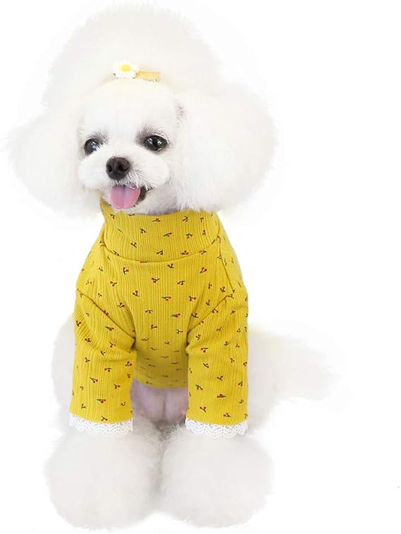 Amazon Co Jp ペット服 冬 犬 服 ふく福 可愛い 通気性 ドッグウェア 小中型犬服tシャツ スポーツ服 お散歩お出かけウェアに 春夏秋服 ドッグウェア ベスト パーカーペットウェア 犬の服 猫の服 柔らかい 子犬 洋服 おしゃれ 脱毛保護 服 ファッション小物 Amazon Co Jp ペット服 冬 犬 服 ふく福 可愛い 通気性 ドッグウェア 小中型犬服tシャツ スポーツ服 お散歩お出かけウェアに 春夏秋服 ドッグウェア ベスト パーカーペットウェア 犬の服 猫の服 柔らかい 子犬 洋服 おしゃれ 脱毛保護 服 ファッション小物