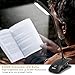 Homestarry 16 LEDs Clip on Reading Lights, Portable Outdoor Book Lights, Touch Switch 3 Levels Brightness Dsek Lamp,Certified with ROSH/CE, USB Rechargeable and Eye Protection for Readers, Kids, Table