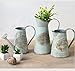 VANCORE Rustic Style Shabby Chic Large Metal Vase Pitcher