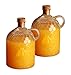 Set of 2 Circleware Honey Bee 2 Liter Glass Jug Pitchers with Cork Stoppers!