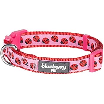 Blueberry Pet Essentials 8 Patterns Ladybug Designer Adjustable Dog Collar, Medium, Neck 14.5