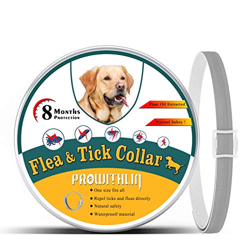 Collar-antipulgas-para-Perros-Collar-antipulgas-de-Seguridad-Natural-para-Perros-Collar-antipulgas-Ajustable-Collar-Impermeable-contra-pulgas-para-Perros-proteccion-de-8-Meses-Talla-unica