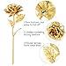 Pixnor 24K Gold Foil Artificial Rose Flower with Acrylic Heart Shaped Stand for Valentines Day Mothers Day Birthday Anniversary Gift