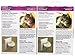 Comfort Zone with Feliway Cats Diffuser and Additional 2-Pack Refills Combo