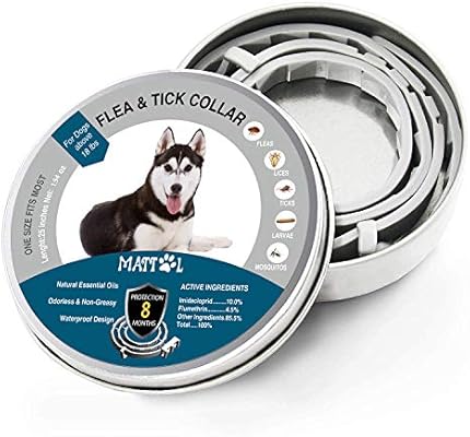 best collar for dog with allergies