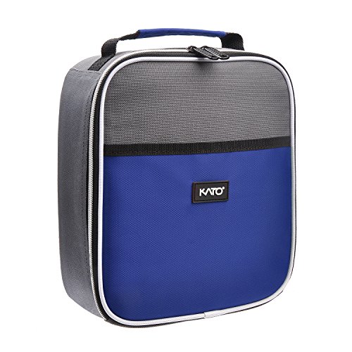 Small Insulated Lunch Bag, Mini Thermal Portable Cooler Lunch Box Tote with Dual Zipper Closure for Men and Women, Blue